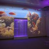 Проекционный дизайн "Виртуальная реальность" базовый комплект 500 анимаций - «globural.ru» - Брянск
