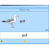 Английский язык. Освоение клавиатуры - «globural.ru» - Брянск