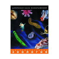 Зоология. Микрофотографии. (Цифровая база изображений) - «globural.ru» - Брянск