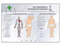 Электрифицированный стенд "Остановка кровотечения" - «globural.ru» - Брянск