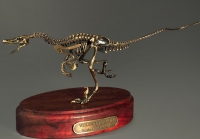 Модель скелета динозавра Velociraptor - «globural.ru» - Брянск