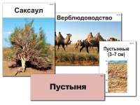 Модель-аппликация "Природные зоны России" - «globural.ru» - Брянск