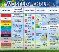 Стенд "We study english" - «globural.ru» - Брянск