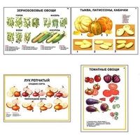 Плакаты ПРОФТЕХ "Ассортимент овощных культур" (12 пл, винил, 70х100) - «globural.ru» - Брянск
