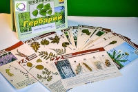 Гербарий к курсу основ общей биологии - «globural.ru» - Брянск