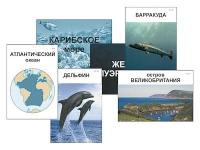 Модель-аппликация "Океаны. Знакомство" (ламинированная) - «globural.ru» - Брянск