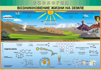 Таблица Возникновение жизни на Земле 1000*1400 винил - «globural.ru» - Брянск