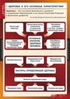 ОБЖ Здоровый образ жизни (комплект таблиц) - «globural.ru» - Брянск