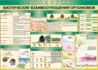 Таблица Биотические взаимоотношения организмов 1000*700 (винил) - «globural.ru» - Брянск
