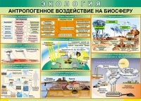 Таблица Антропогенное воздействие на биосферу 1000*700 винил - «globural.ru» - Брянск