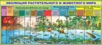 Стенд "Эволюция растительного и животного мира" - «globural.ru» - Брянск