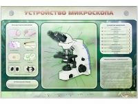 Электрифицированный стенд "Устройство микроскопа и правила работы c ним" - «globural.ru» - Брянск