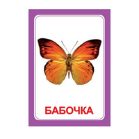 Логопедка "Ч" (логопедические карточки) - «globural.ru» - Брянск