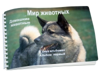 Пособие для слабовидящих "Домашние животные" - «globural.ru» - Брянск