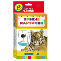 Карточки Домана "Животные" - «globural.ru» - Брянск