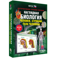 Наглядная биология. Человек. Строение тела человека - «globural.ru» - Брянск