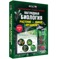 Наглядная биология. Растение - живой организм - «globural.ru» - Брянск