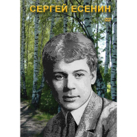 DVD Сергей Есенин - «globural.ru» - Брянск