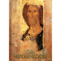DVD Сын Человеческий (от Библии к Евангелию) - «globural.ru» - Брянск