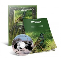 Электронное наглядное пособие «Птицы» - «globural.ru» - Брянск