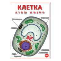 DVD Клетка - "атом жизни" - «globural.ru» - Брянск