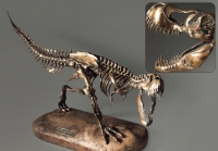 Модель скелета динозавра Tyrannosaurus - «globural.ru» - Брянск