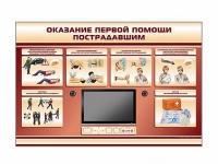 Многофункциональный интерактивный стенд-тренажер "Оказание первой помощи пострадавшим" для учащихся общеобразовательных учреждений - «globural.ru» - Брянск