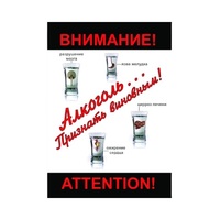 DVD Алкоголь. Признать виновным - «globural.ru» - Брянск