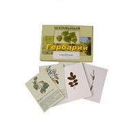 Гербарий "Деревья и кустарники" (22 вида, с иллюстрациями) - «globural.ru» - Брянск