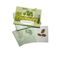 Гербарий "Дикорастущие растения" (30 видов, с иллюстрациями) - «globural.ru» - Брянск