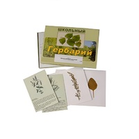 Гербарий "Лекарственные растения" (22 вида, с иллюстрациями) - «globural.ru» - Брянск