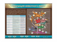 Интерактивный электрифицированный стенд "Эволюция животного мира" - «globural.ru» - Брянск
