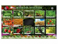 Комплект оборудования "Живой уголок" (растения) - «globural.ru» - Брянск