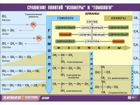 Таблица демонстрационная "Сравнение понятий изомер и гомолог" (винил 100х140) - «globural.ru» - Брянск