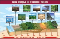 Таблица демонстрационная "Смена природных зон от полюсов к экватору" (винил 70x100) - «globural.ru» - Брянск