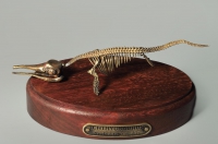 Модель скелета ихтиозавра Ichthyosaurus - «globural.ru» - Брянск
