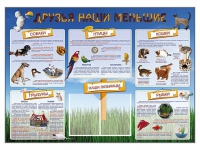 Стенд-уголок "Друзья наши меньшие" - «globural.ru» - Брянск