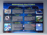 Стенд "Физическая подготовка" (вариант 2) - «globural.ru» - Брянск