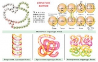 Плакаты и таблицы по общей химии - «globural.ru» - Брянск