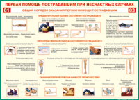  Таблица Общий порядок оказания первой помощи пострадавшим 1000*1400 винил	 - «globural.ru» - Брянск