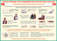 Таблица Порядок действий при переломах конечностей 1000*1400 винил - «globural.ru» - Брянск