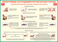 Таблица Порядок действий при ранениях и термических ожогах	 1000*1400 винил - «globural.ru» - Брянск