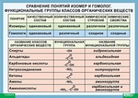 Химия. Сравнение понятий изомер и гомолог. Функциональные группы классов органических веществ (винил) - «globural.ru» - Брянск
