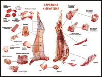 Правила разделки мясных туш "Баранина и ягнятина" 1000*1400 винил - «globural.ru» - Брянск