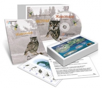 Комбинированное наглядное пособие «Животные» - «globural.ru» - Брянск
