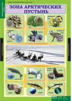 Окружающий мир 4 класс (комплект таблиц) - «globural.ru» - Брянск