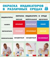 Стенд "Окраска индикаторов в различных средах" - «globural.ru» - Брянск