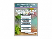 Стенд "Схема приготовления мясных котлет" - «globural.ru» - Брянск