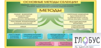 Стенд "Методы селекции и биотехнологии" - «globural.ru» - Брянск