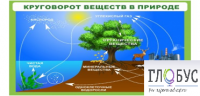 Стенд "Круговорот веществ" - «globural.ru» - Брянск